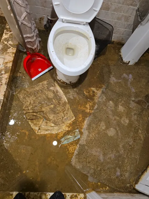 Golden Touch Restoration Specialist LLC Picture 2