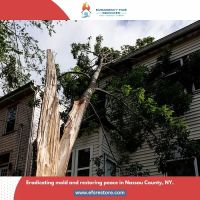 Emergency Fire Services ico