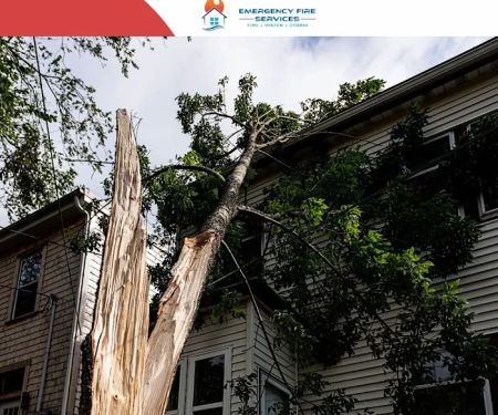 Emergency Fire Services