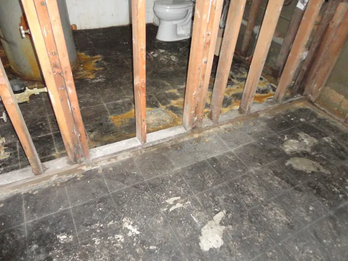 Prime Air Mold & Water Damage Picture 9