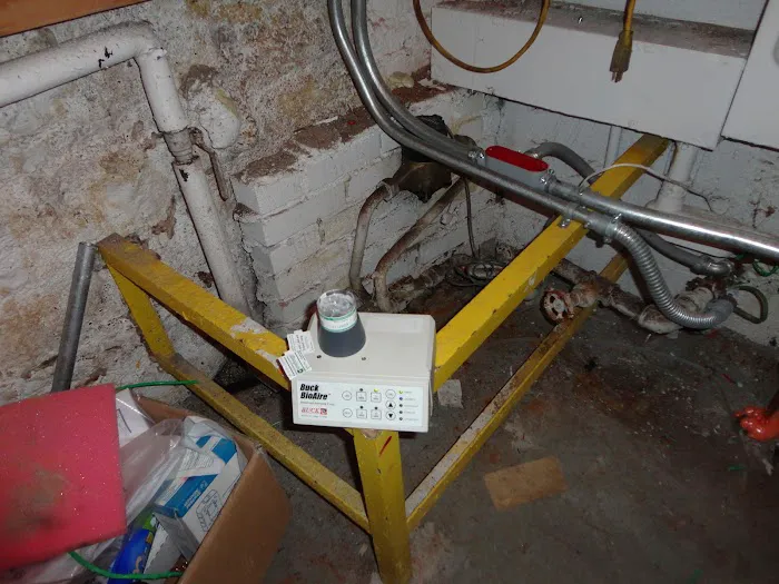 Prime Air Mold & Water Damage Picture 10