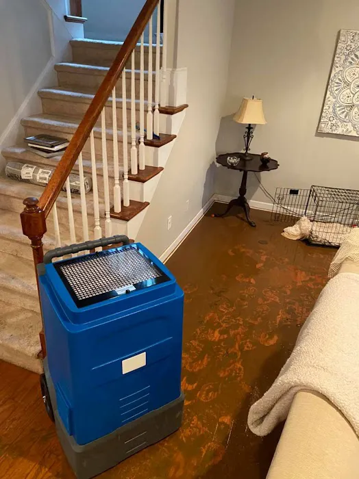 Top Response Picture 2