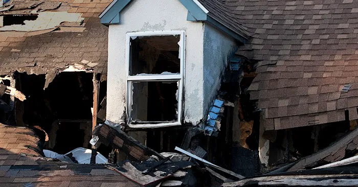 Top Response Picture 8