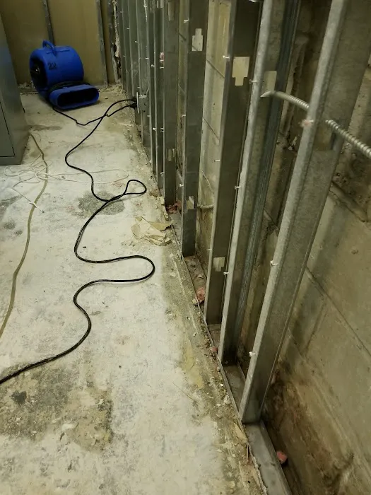 BAS Mold Removal Long Island Picture 1