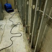 BAS Mold Removal Long Island ico