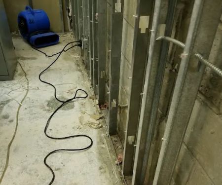 BAS Mold Removal Long Island