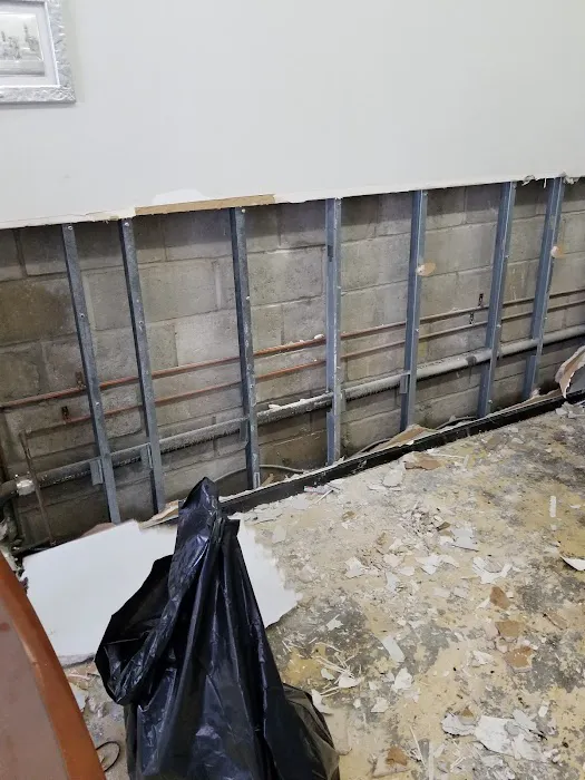 BAS Mold Removal Long Island Picture 7