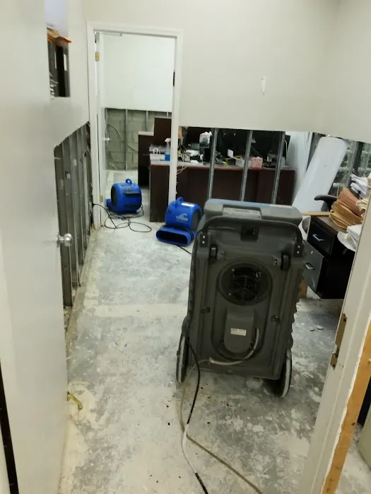 BAS Mold Removal Long Island Picture 6