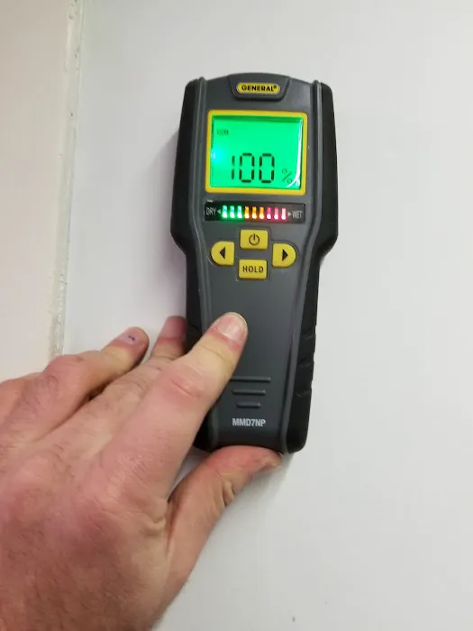 BAS Mold Removal Long Island Picture 5