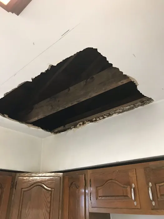 BAS Mold Removal Long Island Picture 3