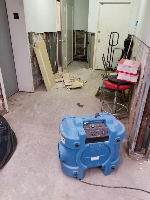 BAS Mold Removal Long Island Picture 10