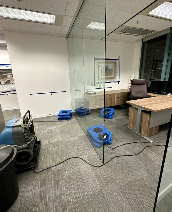 Carle Place Picture 6