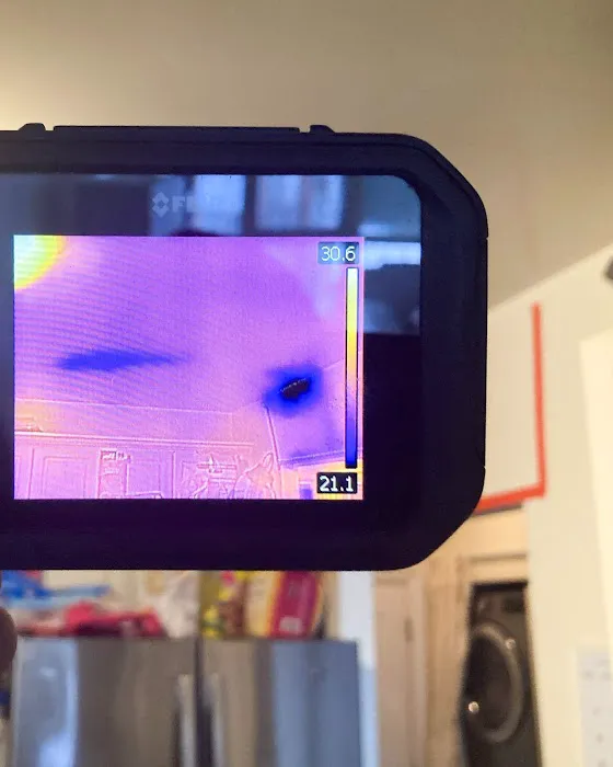 Carle Place Picture 1