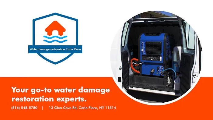 Carle Place Picture 7