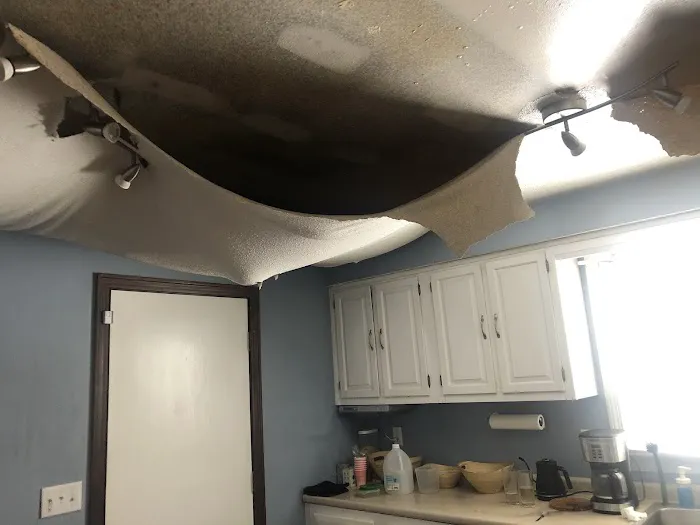 Paul Davis Restoration of New Haven Picture 1