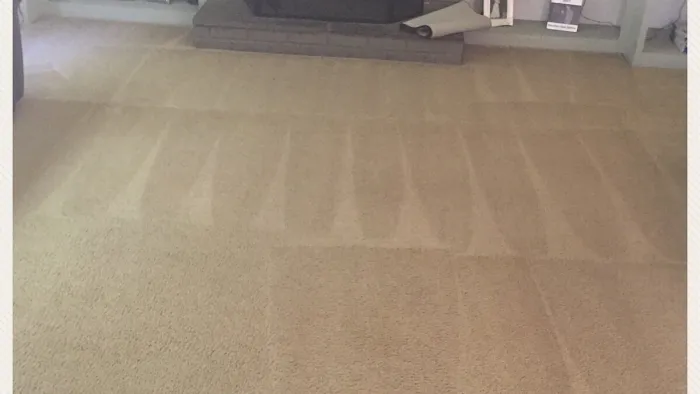 Jones Cleaning & Restoration Picture 6