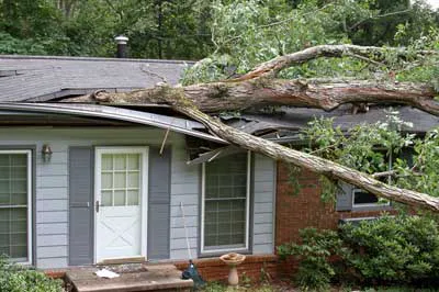 Sante Builders Reconstruction Picture 5