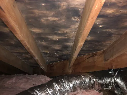 Advantaclean of Greater Hartford Picture 2