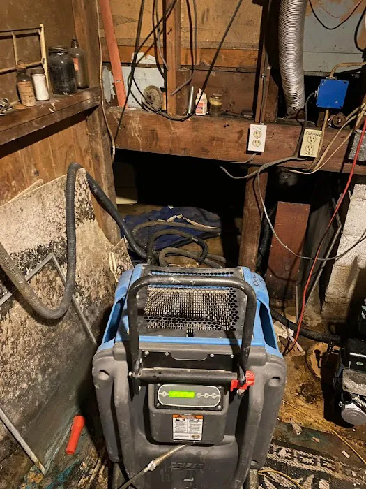 Advantaclean of Greater Hartford Picture 10