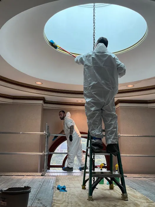 ADU Water Fire Mold Storm Picture 9