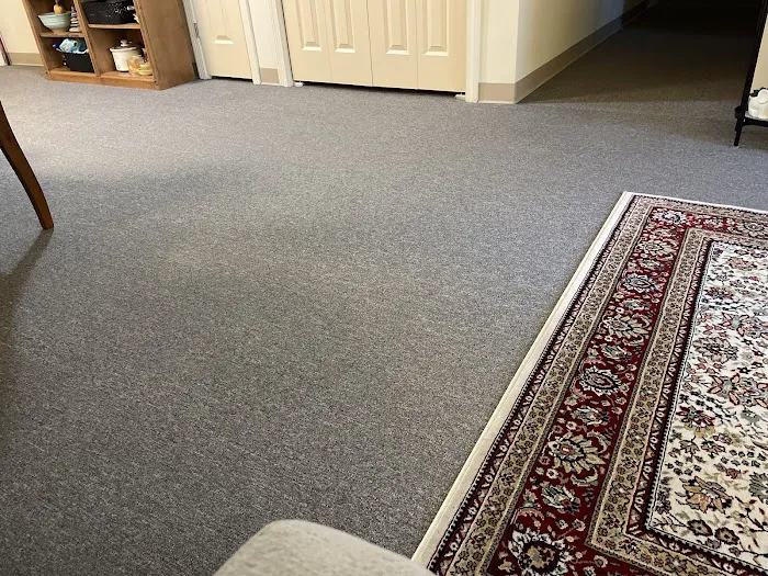 Stanley Steemer Picture 4