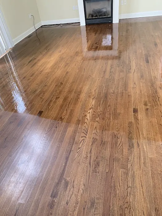 Stanley Steemer Picture 5