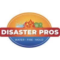 Disaster Pros CT ico