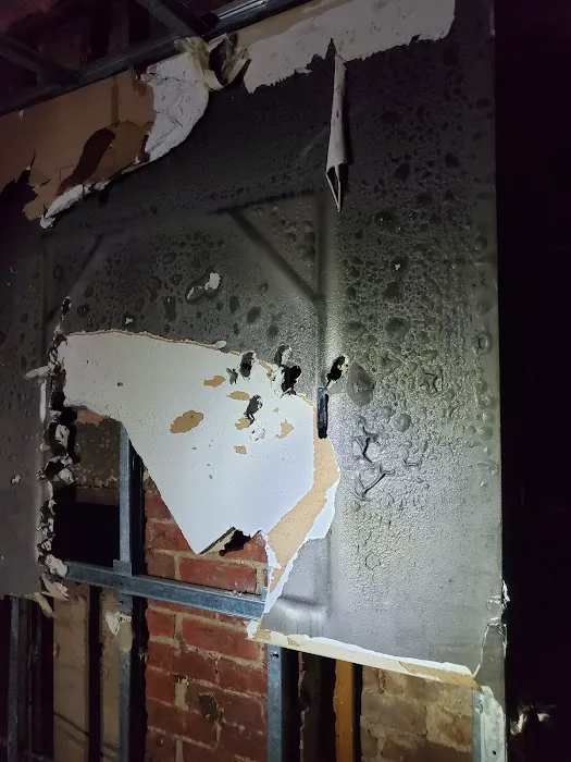 ASAP Restoration Picture 7