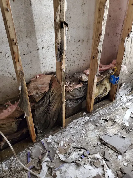 ASAP Restoration Picture 1