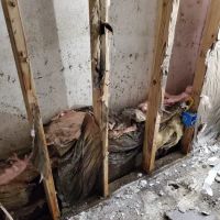 ASAP Restoration ico