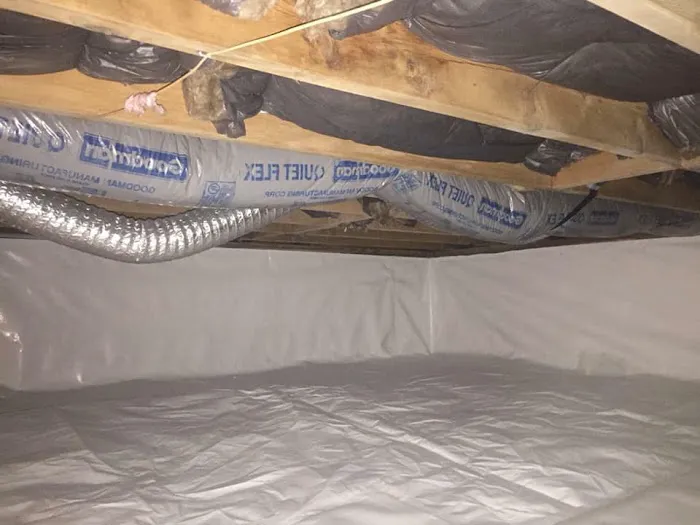 MD Crawlspace & Basement - NJ's Trusted Crawlspace Encapsulation, Mold Remediation, & Waterproofing Specialists Picture 3