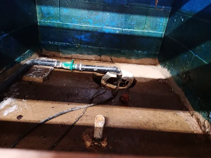 MD Crawlspace & Basement - NJ's Trusted Crawlspace Encapsulation, Mold Remediation, & Waterproofing Specialists Picture 7