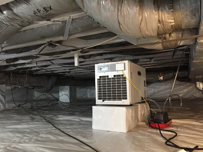 MD Crawlspace & Basement - NJ's Trusted Crawlspace Encapsulation, Mold Remediation, & Waterproofing Specialists Picture 10