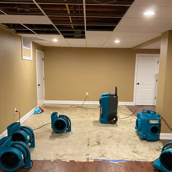 ServiceMaster of the Shore Area Picture 2