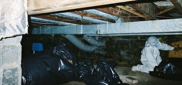 Alchemy Disaster Group - LBI Picture 2