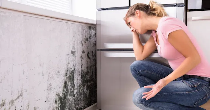 Alchemy Disaster Group - LBI Picture 6