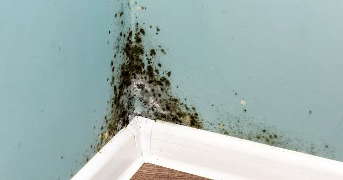 Alchemy Disaster Group - LBI Picture 7