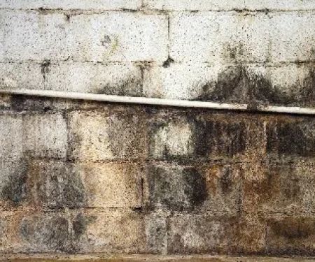 Bay Restoration & Air Duct Services