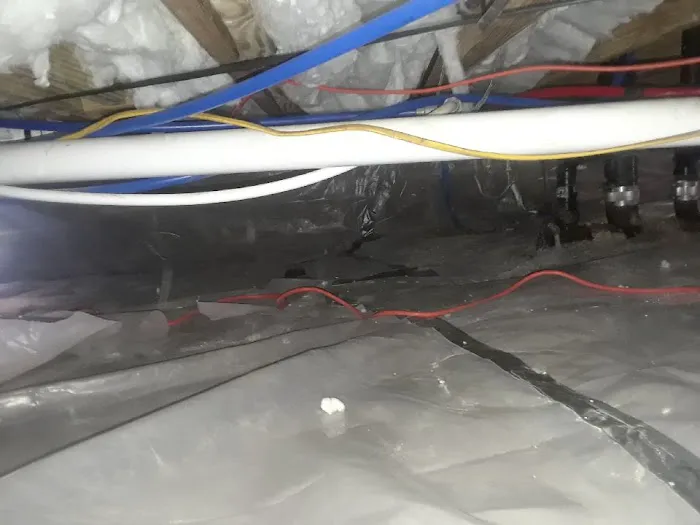 Virginia Beach Water Damage Restoration Picture 1