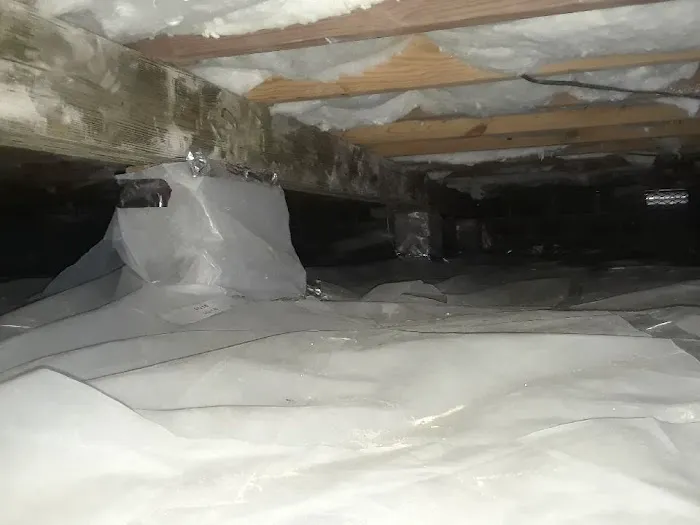 Virginia Beach Water Damage Restoration Picture 7