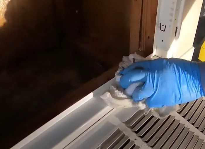 VA Beach Hero Mold Removal Picture 1