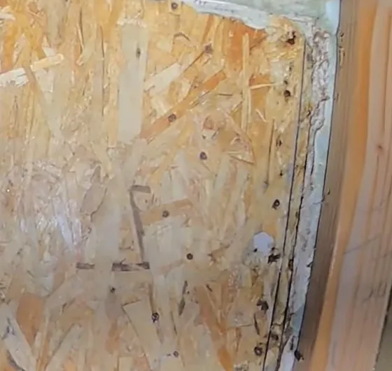 VA Beach Hero Mold Removal Picture 3