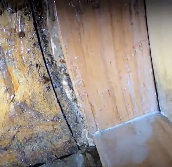 VA Beach Hero Mold Removal Picture 5