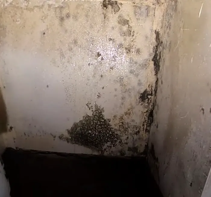 VA Beach Hero Mold Removal Picture 8