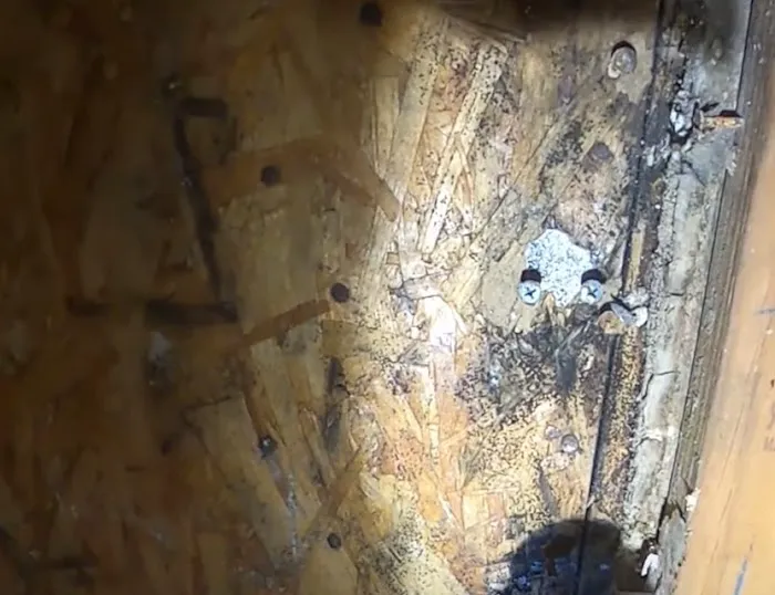 VA Beach Hero Mold Removal Picture 4