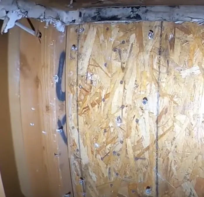 VA Beach Hero Mold Removal Picture 2