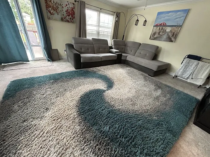 Stanley Steemer Picture 7