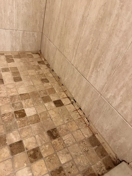 Stanley Steemer Picture 9