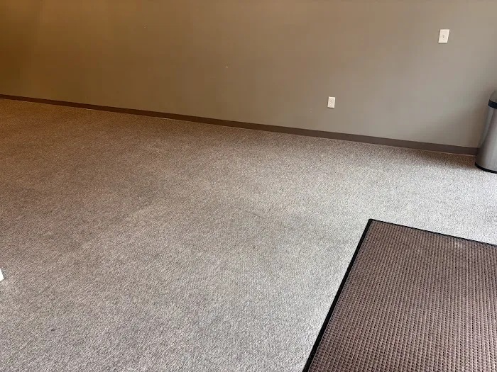 Stanley Steemer Picture 6