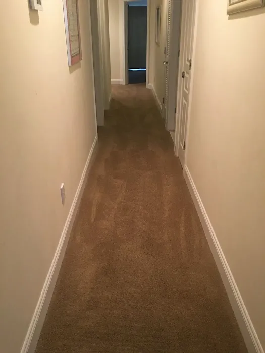 Offshore Carpet Cleaning and Janitorial Services Picture 2